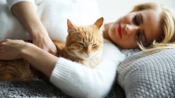 تحذير من مرض الهيربول.. مشكلة شائعة عند القطط طويلة الشعر