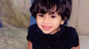 نهشت جسده أمام منزله.. القصة الكاملة لهجوم الكلاب الضالة على طفل برأس سدر تهز جنوب سيناء