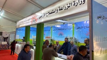 الزراعة تطرح البطاطس بـ6 جنيهات والتمر بـ30 جنيها قائمة الأسعار كاملة