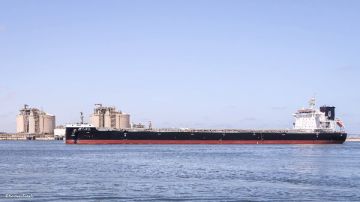 ميناء دمياط يستقبل سفينة ترفع علم بنما تحمل 41800 طن من القمح