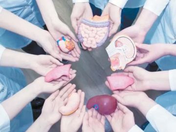 هل هو صدقة؟.. كيف تنظر الشريعة الإسلامية إلى التبرع بالجلد والأعضاء بعد الوفاة؟ هل هو صدقة؟.. كيف تنظر الشريعة الإسلامية إلى التبرع بالجلد والأعضاء بعد الوفاة؟