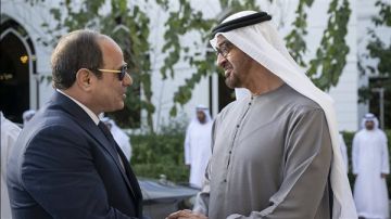 الرئيس السيسي وبن زايد: التضامن العربي ركيزة الأمن القومي.. وحل الدولتين هو المسار الوحيد