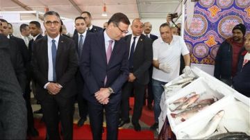 وزير الزراعة: طرح اللحوم والدواجن وبيض المائدة بأسعار التكلفة طوال شهر رمضان