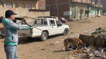 بيطري الغربية: تحصين 30 كلبا ضد مرض السعار بقرية إشناواي