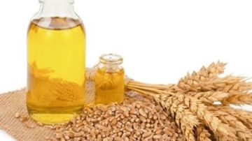 احمي بشرتك من الجفاف.. استخدمي زيت جنين القمح