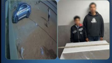 بياكل الطيور القبض على شخصين ضربا كلبا حتى الموت في 6 أكتوبر