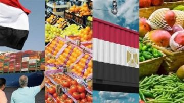 علاء عز: الصناعات الغذائية ثالث أكبر قطاع تصديري بـ5 مليارات دولار فيديو