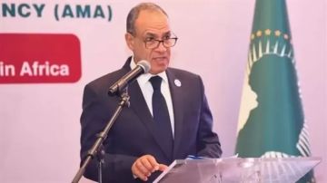 وزير الخارجية يطرح رؤية مصر الشاملة لتعزيز التصنيع الدوائي والأمن الصحي في أفريقيا