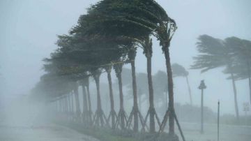 ضباب ورياح .. تعرف على طقس اليوم الأربعاء 4 فبراير 2025