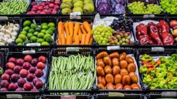شعبة الخضروات والفاكهة: السلع الاستراتيجية متاحة في السوق.. والمنتجات متوفرة بشكل طبيعي