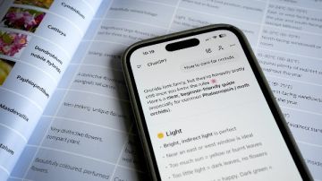 ما معنى GPT في اسم ChatGPT؟ ما معنى GPT في اسم ChatGPT؟