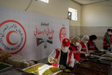 مصر تقدم مليون وجبة يوميا لفلسطينيي غزة مصر تقدم مليون وجبة يوميا لفلسطينيي غزة