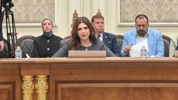 البدوي: حماة الوطن يوصي بإنشاء هيئة للسلامة الرقمية لضبط الفضاء الإلكتروني للأطفال