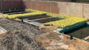 حقيقة نقص التقاوي والأسمدة المعتمدة لزراعة القمح بالمنافذ الرسمية حقيقة نقص التقاوي والأسمدة المعتمدة لزراعة القمح بالمنافذ الرسمية