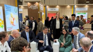  25.7 زيادة في صادرات مصر من الخضروات والفاكهة إلى السوق الألماني