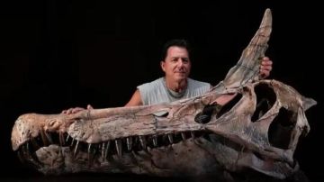 اكتشاف حفريات لمفترس ضخم يشبه أسطورة التنين يعود للعصر الطباشيري