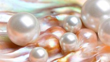 قفزة غير مسبوقة في صادرات مصر من اللؤلؤ والأحجار الكريمة خلال 2025 قفزة غير مسبوقة في صادرات مصر من اللؤلؤ والأحجار الكريمة خلال 2025