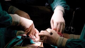 نواب عن مقترح التبرع بـ الجلود البشرية : القوانين موجودة وتطبيقها يواجه معوقات.. وعلى المواطنين التحلي بالوعي والإنسانية لإنقاذ حياة مصابي الحروق نواب عن مقترح التبرع بـ الجلود البشرية : القوانين موجودة وتطبيقها يواجه معوقات.. وعلى المواطنين التحلي بالوعي والإنسانية لإنقاذ حياة مصابي الحروق