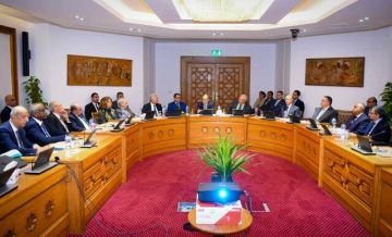 وزير الخارجية يبحث تعزيز الحضور المصري في أفريقيا