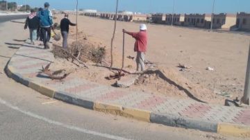 استمرار أعمال التشجير بمدينة رأس غارب ضمن المبادرة الرئاسية مليون شجرة 