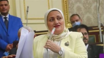  السكن البديل .. برلمانية: تطبيق قانون الإيجار القديم يواجه صعوبات فيديو