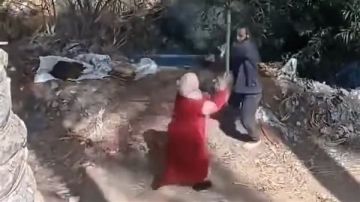 القبض على المتهم بالتعدي على سيدة وإلقائها في الترعة بالبحيرة القبض على المتهم بالتعدي على سيدة وإلقائها في الترعة بالبحيرة