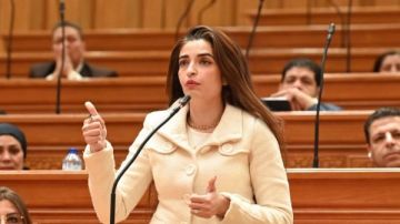 إيرين سعيد: التعديل الوزاري يجب أن يقدم سياسات فعلية وخططا اقتصادية واضحة إيرين سعيد: التعديل الوزاري يجب أن يقدم سياسات فعلية وخططا اقتصادية واضحة