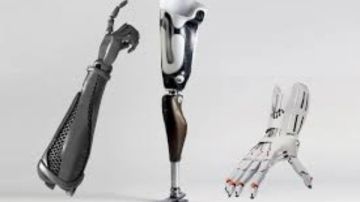 برلمانية توضح أهمية إنشاء مجمع الأطراف الصناعية