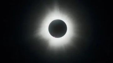 كسوف القرن.. حين يبتلع القمر ضوء النهار ماذا يحدث فى أغسطس