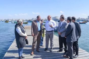 محافظ الإسكندرية يتفقد المركز التكنولوجي بالجمرك ويوجه بسرعة إنهاء الشكاوى