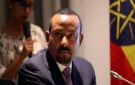 معارض إثيوبي: لا خيار أمام آبي أحمد سوى الحرب ضد إريتريا - eg