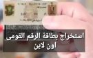 استخراج بطاقة الرقم القومي من المنزل 2026.. رابط رسمي - eg