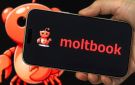 1.6 مليون وكيل ذكاء اصطناعي.. كيف تشارك على Moltbook كبشر؟ - eg