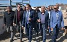 محافظ بورسعيد يوجه بدراسة طرح جزء من مشروع تربية الماشية للقطاع الخاص - eg