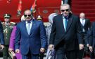 السيسي وأردوغان يؤكدان على تثبيت وقف النار في غزة وحقوق الشعب الفلسطيني ودعم وحدة ليبيا وسوريا - eg