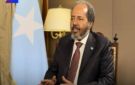 الرئيس الصومالي: نثمن دعم مصر لوحدة واستقرار بلادنا وتعزيز الأمن بالمنطقة - eg