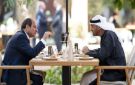 الرئيس السيسي يعود إلى أرض الوطن بعد زيارة للإمارات - eg