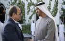 الرئيس السيسي وبن زايد: التضامن العربي ركيزة الأمن القومي.. وحل الدولتين هو المسار الوحيد - eg