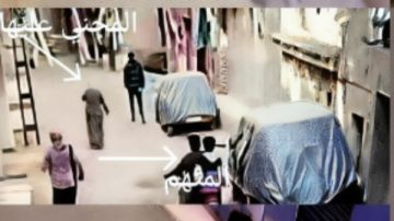 اعتدى بسـ.ـاطور على سيدة أمام منزلها بالغربية.. المتهم يواجه هذه العقوبة