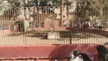 127 ألف زائر لحدائق وزارة الزراعة خلال اجازة عيد الفطر