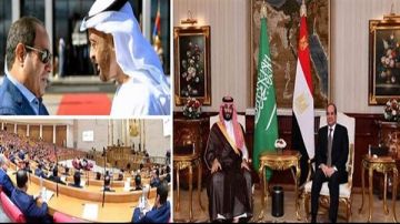 الديهي: مصر ترفض أي حلول عسكرية بالمنطقة كخيار أساسي فيديو