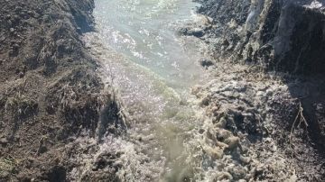 بورسعيد.. انطلاق المرحلة الثالثة من الموجة 28 لإزالة التعديات على أملاك الدولة