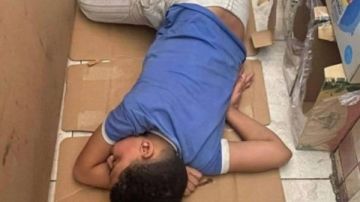 الاعدام شنقا للمتهم بقتل طفل داخل محل تجاري ببورسعيد