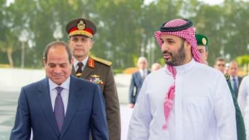 برلماني: زيارة الرئيس السيسي للبحرين والسعودية تعزز وحدة الصف العربي