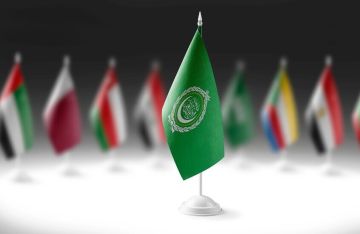 مصر توجه رسالة عاجلة للدول العربية لصون سيادتها مصر توجه رسالة عاجلة للدول العربية لصون سيادتها