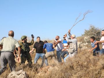 مصر تدين بأشد العبارات اعتداءات المستوطنين في الضفة الغربية وتحمل المجتمع الدولي المسؤولية