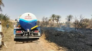 حريق بمنطقة زراعات نخيل بقرية المراقى بسيوة