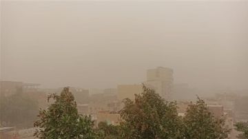 عواصف ترابية تضرب الوادي الجديد.. ورفع درجة الاستعداد