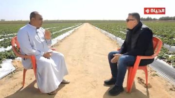 مزرعة 120 فدانا وعجول.. قصة نجاح الحاج محمد عبد الخالق مزرعة 120 فدانا وعجول.. قصة نجاح الحاج محمد عبد الخالق