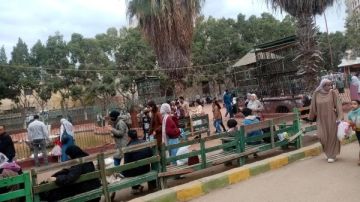 5 آلاف زائر خلال يومي عيد الفطر بحديقة حيوان الزقازيق 5 آلاف زائر خلال يومي عيد الفطر بحديقة حيوان الزقازيق